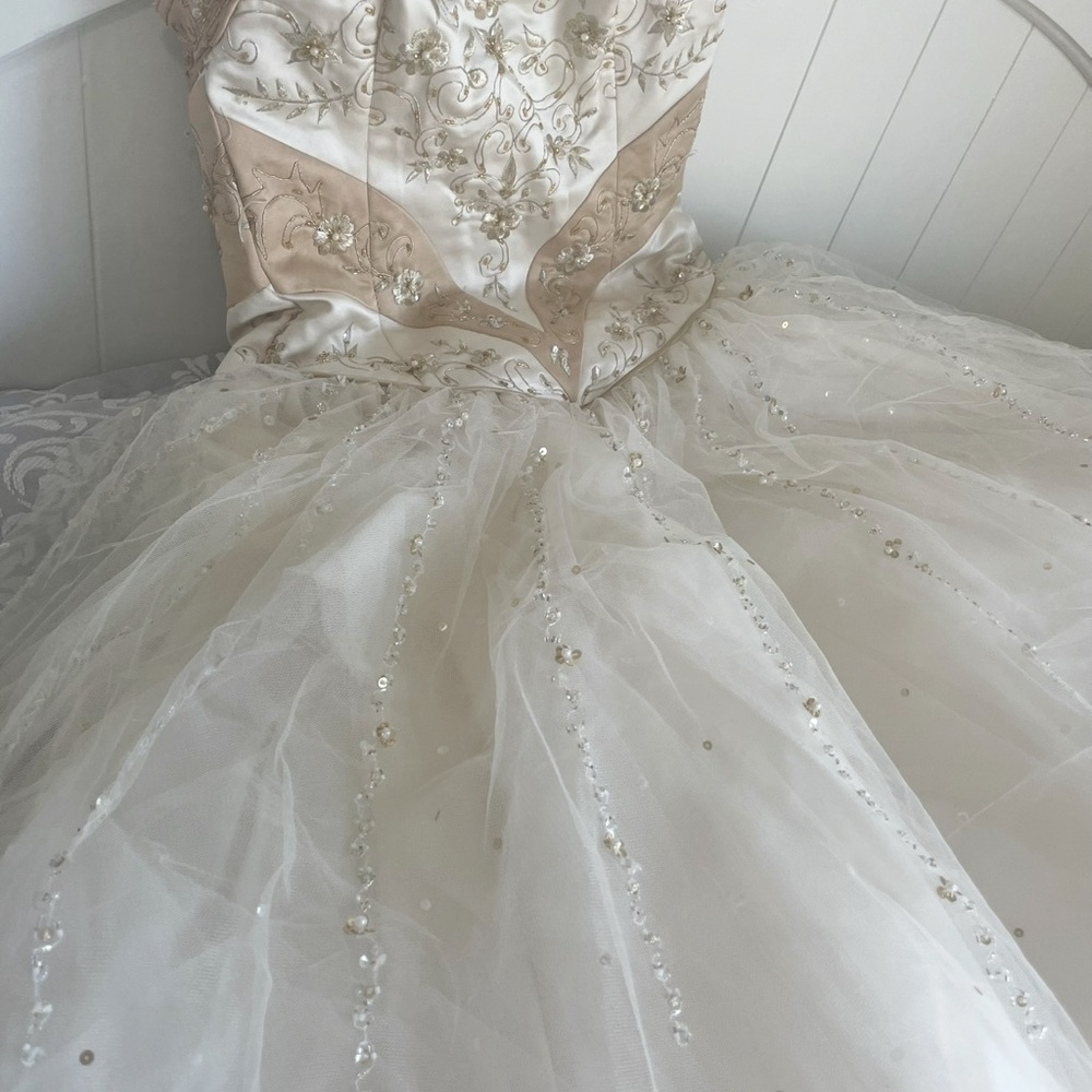 Elegant Cream and Tan Embellished Gown